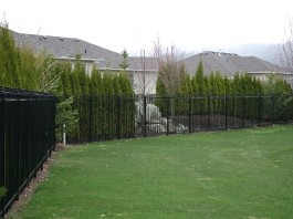 Wrought Iron Fence Image