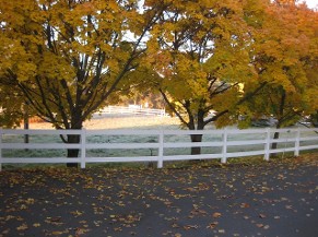 Vinyl Fence Image